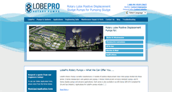 Desktop Screenshot of lobepro.com